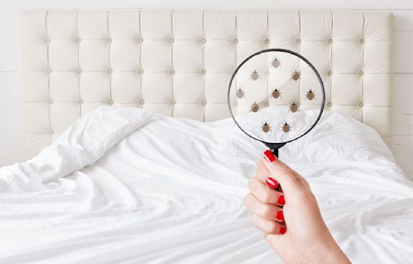 How to tell if your hotel mattress has bed bugs — 7 tips and tricks