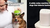 Genius things that make your dog so much more chill