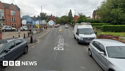 Leeds: Bulldog owner admits letting her dog bite postman