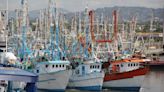 ¿Cuáles son las épocas y zonas de veda para la pesca comercial de camarón en aguas marinas?