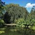 Hortus Botanicus Leiden