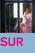 Sur (film)