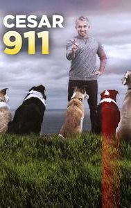 Cesar 911