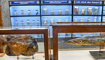 Now, scan QR code to know about specimens at renovated marine museum in Visakhapatnam