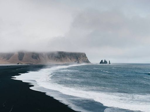 Sea creature spotted ‘surfing the waves’ in ‘special’ encounter off Iceland, photo shows