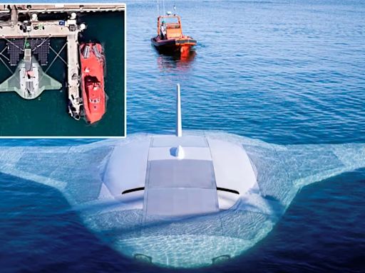 Un dron submarino, imágenes virales y una base en California: el intrigante hallazgo en Google Maps