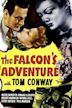 The Falcon's Adventure