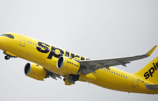 'Frustrated' Spirit Airlines gate agents screamed at passengers: Here's what happened next