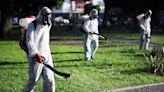 "Siento que contagiarme o no es sólo cuestión de suerte": Argentina atraviesa el peor brote de dengue de su historia con una grave escasez de repelentes