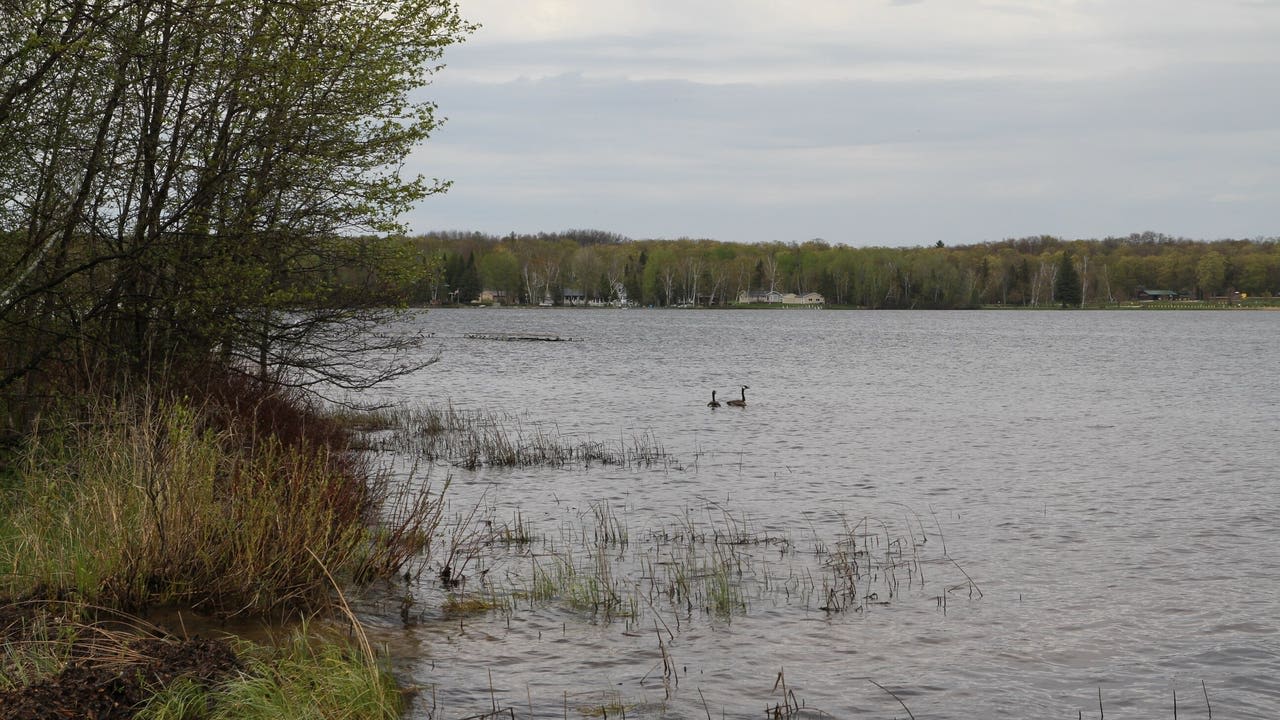 Michigan DNR land auction includes waterfront parcels and 80-acreage forests