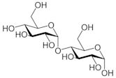 Maltose