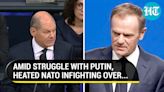 NATO Nations Argue Publicly: Amid Ukraine Struggle, Anti-Russia Bloc In Tatters? | Germany Vs Poland