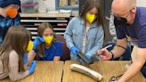 Exclusive: Efforts to resurrect the woolly mammoth to modern day reaches Alaska classrooms