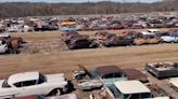 Car graveyard has 88 acres of models as old as 1956 - 'it'll take you back'