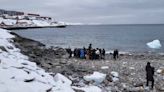 Encuentran muerto en costa de Groenlandia a tiburón de más de 100 años