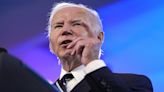 Biden Protects 500,000 Undocumented Spouses From Deportation: Why It's A Relief For Indian Families?