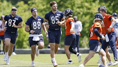 Why Key Chicago Bears Are Regarded as Fantasy Football Duds