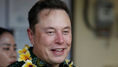 Meta AI chief says he dislikes Elon Musk's 'vengeful politics, hype’, latter responds