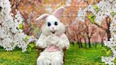 Easter 2023 events: Egg hunts, the Easter Bunny and more things to do in Fort Myers, Naples