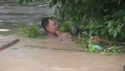 Assam Floods: Man Half Submerged In Deluge Risks Life To Save Cow - Video