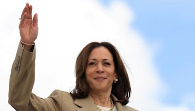 All state Democratic party chairs endorse Harris