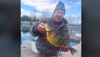 Angler breaks 43-year-old record after reeling in large perch in Lake Michigan