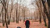 A Border Collie saved his owner in 'true Lassie fashion' after the man fell 70 feet during a hike and couldn't reach help