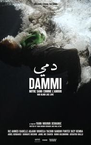 Dammi