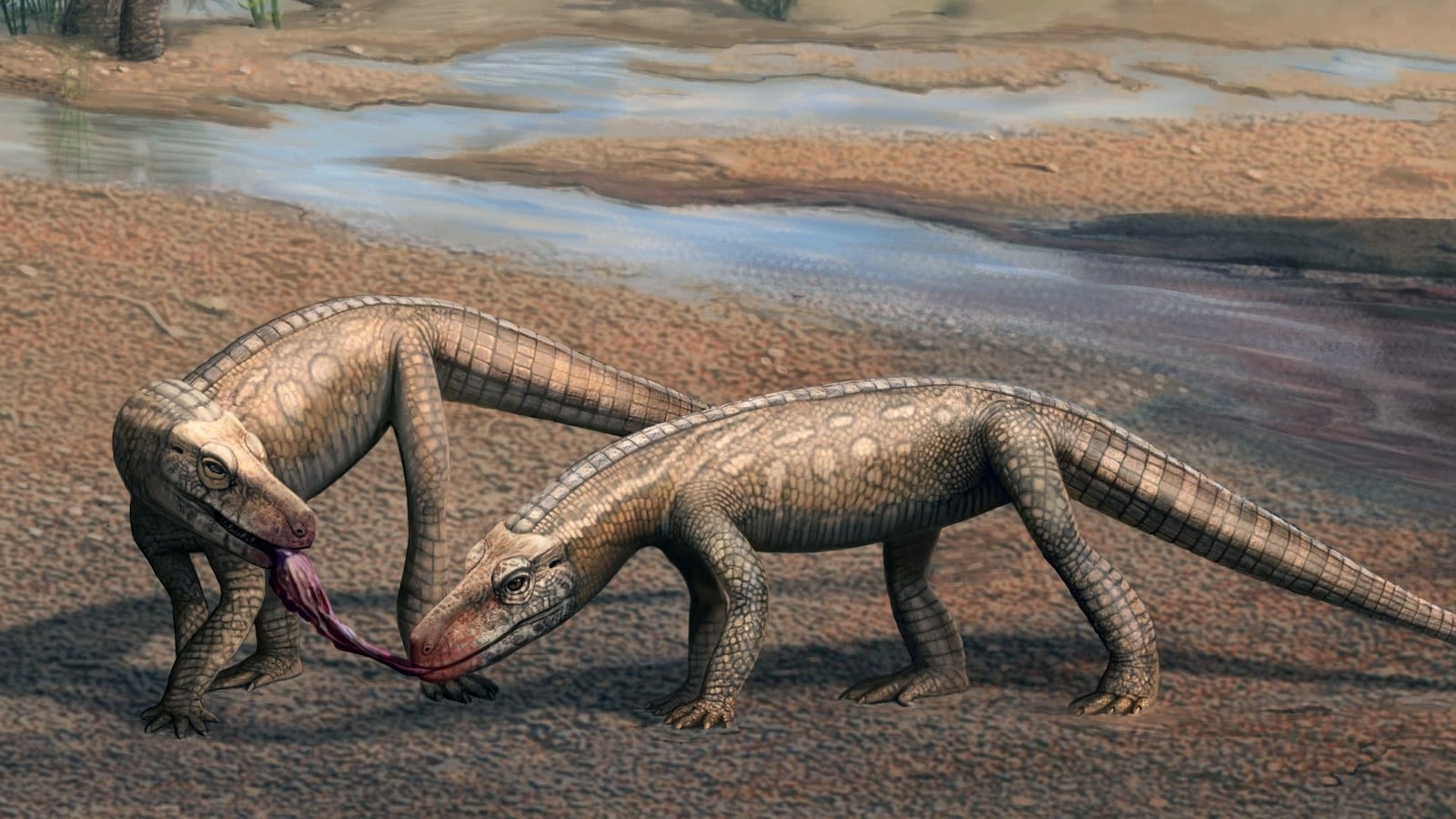 Paleontologists discover fossils of new crocodile-like reptile species that lived 237 million years ago