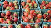 Here's the Best Way to Store Fresh Strawberries