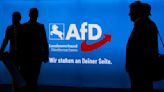 German far-right party AfD sees membership grow as SPD suggests ban