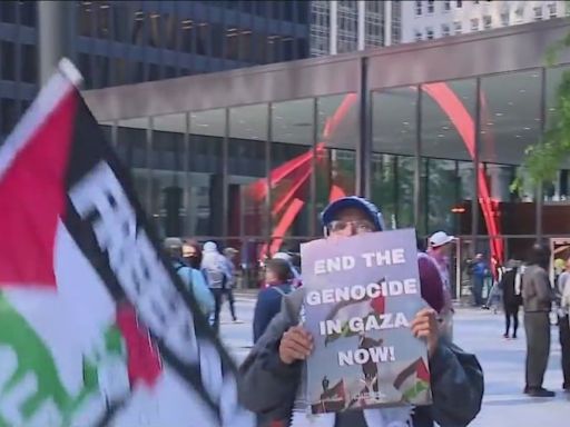 Pro-Palestine protesters gather downtown demanding cease-fire in Israel-Hamas conflict