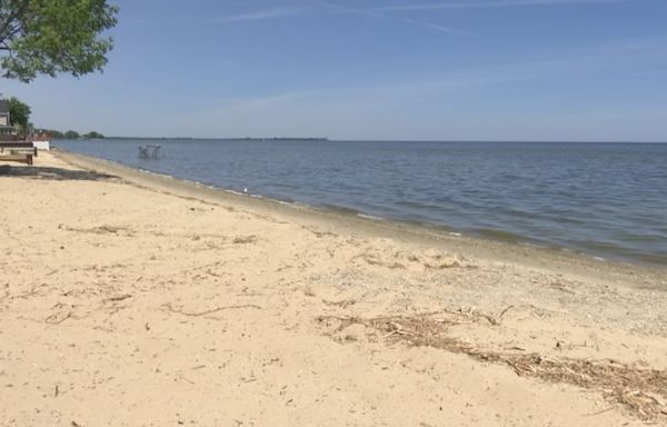 11 Michigan beaches closed due to contaminations, EGLE says