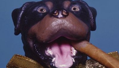 Triumph The Insult Comic Dog Comes To The Den Theatre