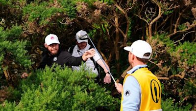 If you are offended by the swearing golfers at the Open then mute your TV