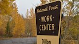 U.S. Forest Service project north of Silverthorne focuses on forest health in spruce-fir stands