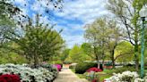 D.C.-area forecast: Cool for next couple of days before a taste of summer