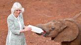 A Giraffe Dress and Baby Elephant Feeding! Queen Camilla Has an Animal-Filled Day on Royal Tour in Kenya