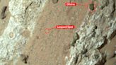 Spots on Mars Rock Share Similarities With Fossilized Life on Earth