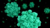 November norovirus outbreak in Tazewell County linked to sick food handler
