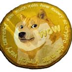 [現貨]狗狗幣裝飾毯 柴犬梗圖超大地墊Dogecoin蓋毯 野餐沙灘巾 休閒居家寵物生日交換禮物