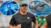 10 of Aaron Rodgers' health hacks, including dietary changes, massages, drug trips, and dolphin sex sounds