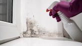5 ways you're encouraging mold in your home this season