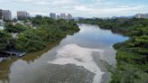 Três ações para pôr o Rio na vanguarda ambiental