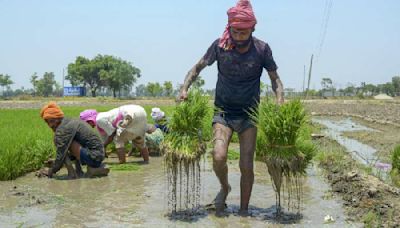 Farm agitation for MSP: '1 lakh farmers from more than 20 states' to gather in Haryana in September