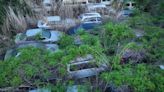 Fukushima Cars Are Still Rotting