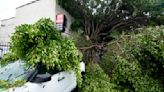 Earthquake shakes Southern California as Tropical Storm Hilary makes landfall