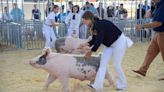 Community members have a chance to support this year’s livestock exhibitors at the Merced County Fair.