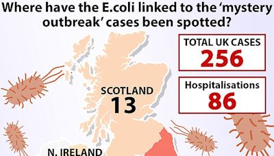 Experts warn UK e-coli outbreak is a 'serious public health concern'