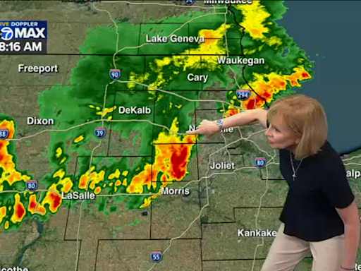 Chicago weather: Severe Thunderstorm Warning in effect for Will County | LIVE radar
